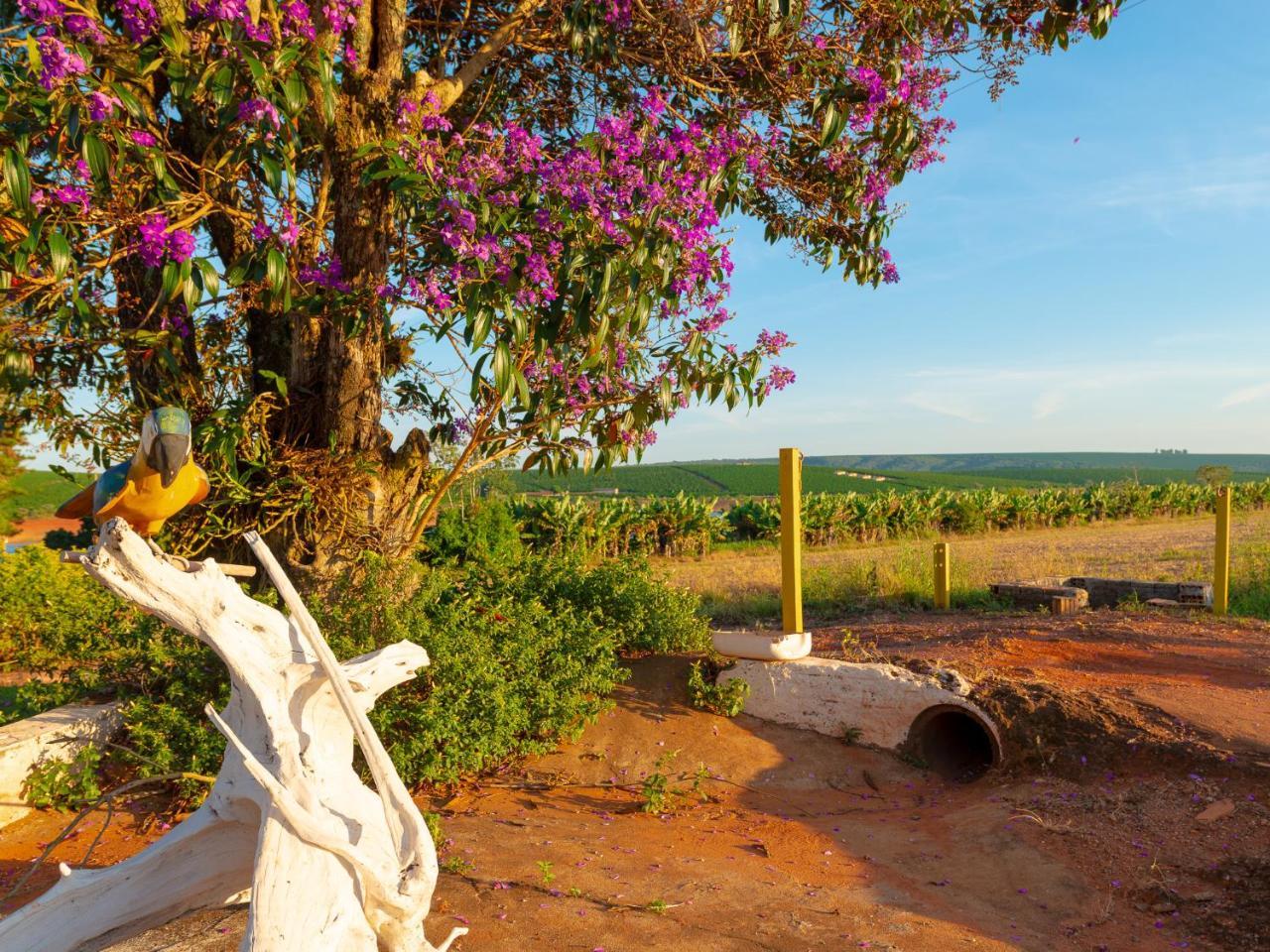 Pousada Figueira Sao Jose da Barra Luaran gambar
